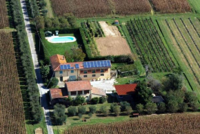 Il Chicco d'Oro Massarosa